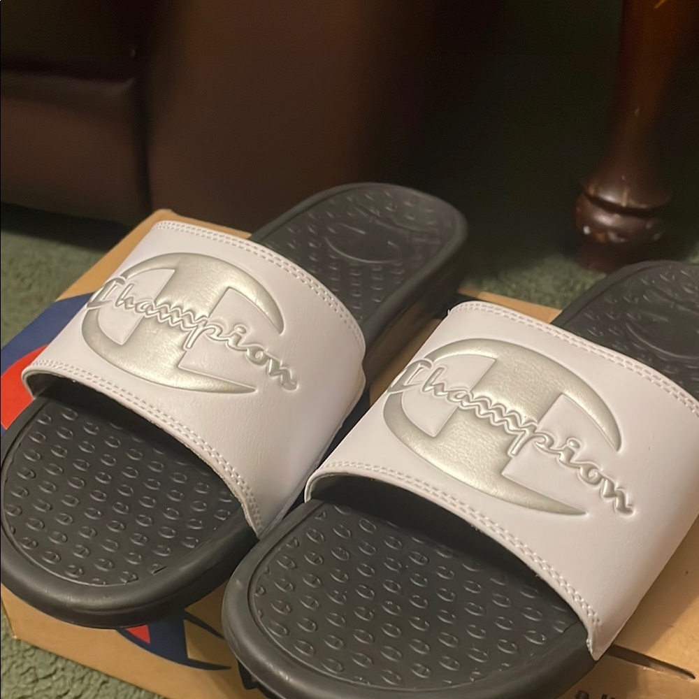 Champion Slides set - Picture 9 of 11